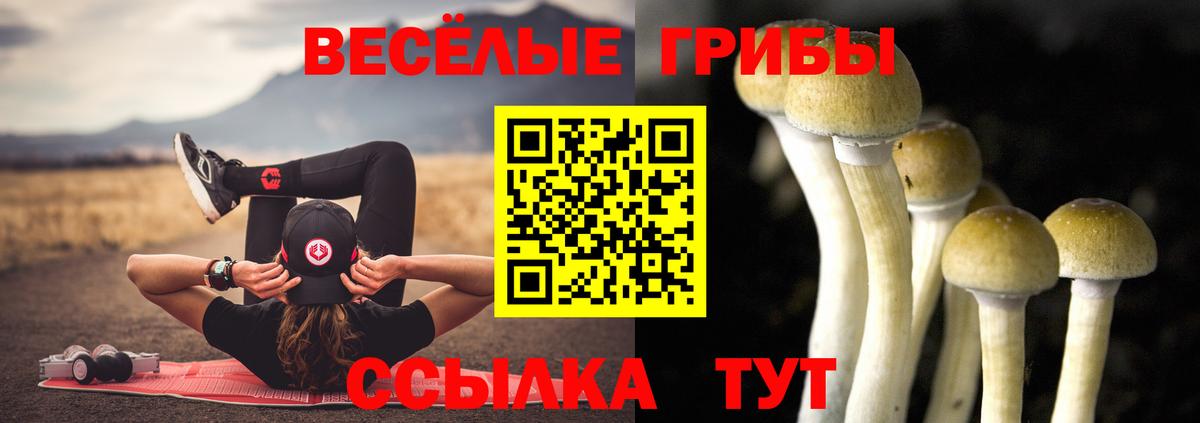 Елец  Псилоцибиновые грибы GOLDEN TEACHER  где можно купить   Псилоцибиновые грибы GOLDEN TEACHER  Вход с VPN 